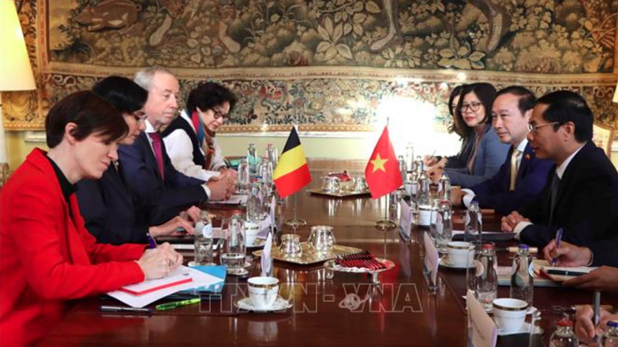 Belgium values Vietnam’s position globally, desires to promote cooperation